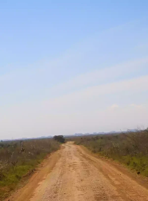 Game Drive in Nairobi National Park