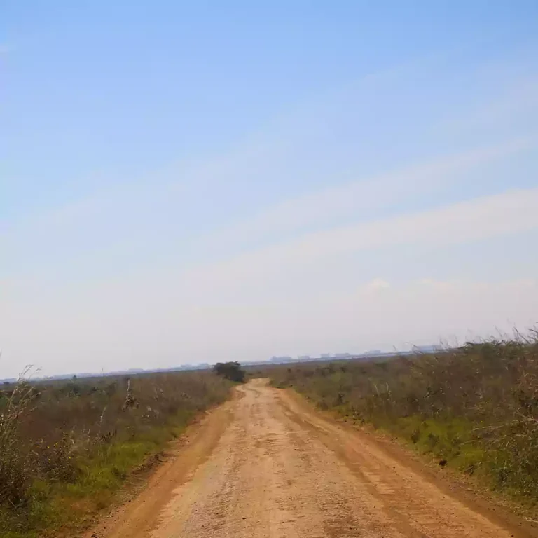 Game Drive in Nairobi National Park