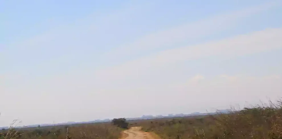 Game Drive in Nairobi National Park