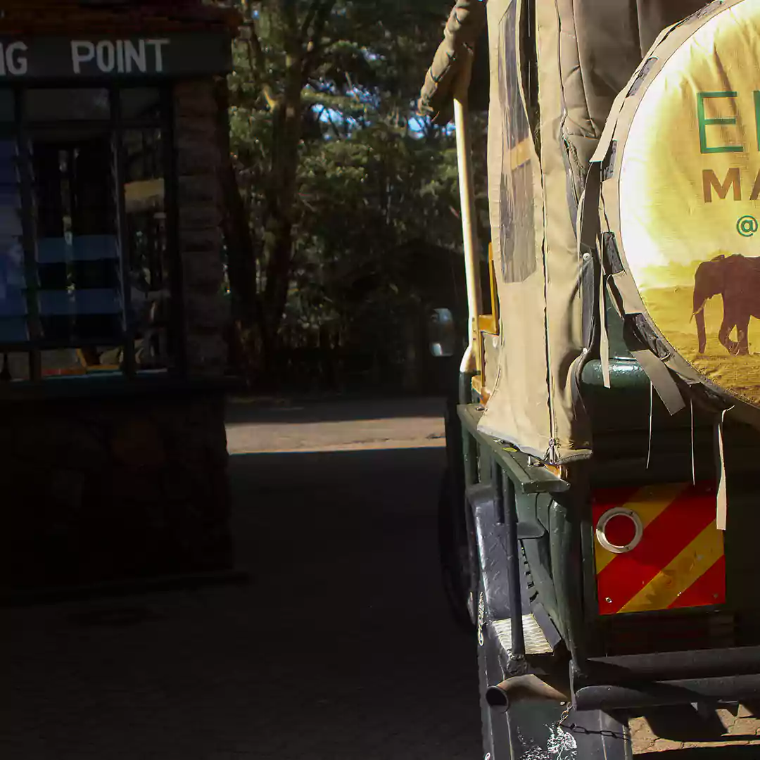 Nairobi Park Evening