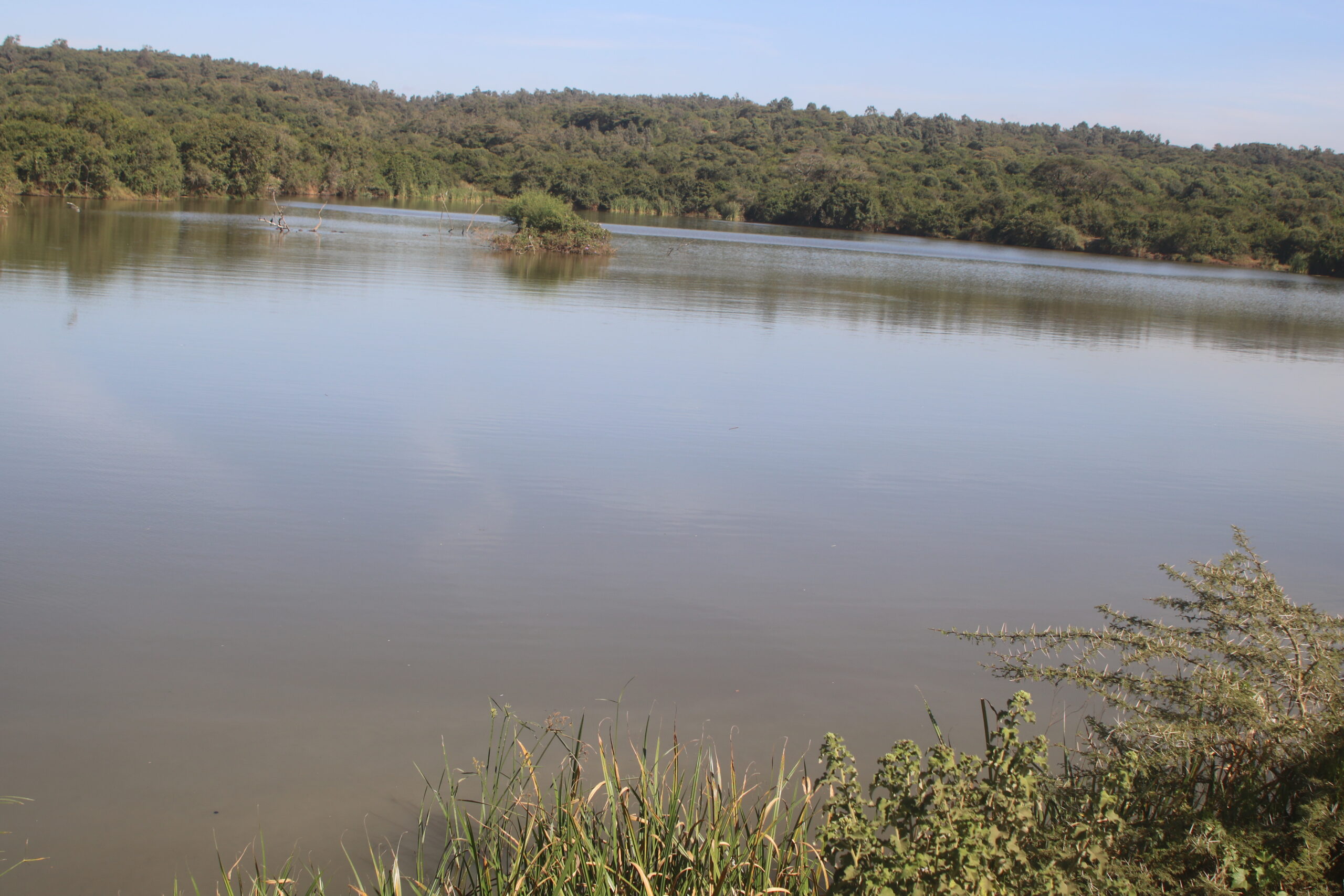 Nairobi National Park Dam