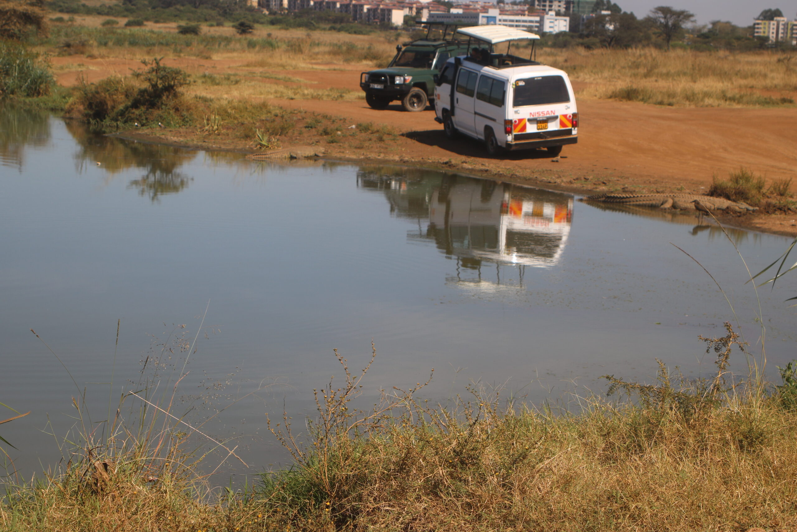 Tourists vehicle observing Crocodile at Nairobi National Park